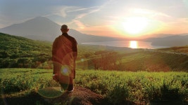 "정치든 원전이든 끝내 파국... 전환기적 현실을 직시한 영화"
