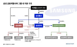삼성생명 회계처리 논란, 재점화된 두 가지 쟁점은