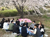 의창구, 신규 공무원 소계동 산 벚꽃축제 탐방