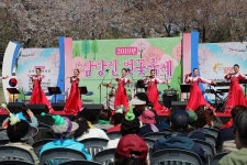 삼랑진읍, 삼랑진 벚꽃축제 성료