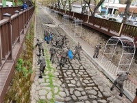 진해구 여좌동, 벚꽃엔딩 아름다운 마무리