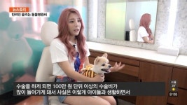 가수 메이린 반려동물 병원비 너무 부담되요