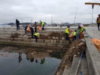 진해구, 태풍 내습에 따른 해안변 유입 쓰레기 5톤 수거