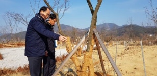 거창창포원 겨울철 한파 대비 수목 관리 현장점검