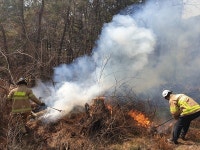 마산 진전 양촌리 산불...2시간여만에 진화