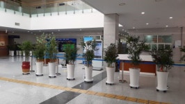 경남도, 서부청사 로비 실내 편백 정원 조성