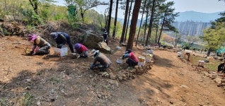 창원 대암산 입구 야생화 꽃길 조성