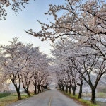 함양군 미세먼지 저감 사업 적극 추진