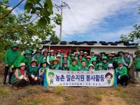 창원시새마을회, 동읍 단감농가서 농촌일손돕기 구슬땀