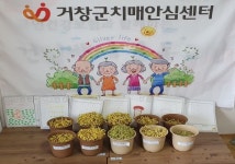 거창군 치매안심센터, 시루 속 인지 쑥 콩나물 원예치료 시작
