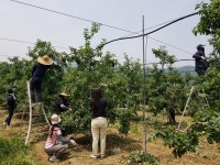 밀양시설관리공단, 신규직원 농촌 일손돕기 지원