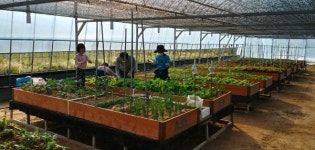 양산시 공영 도시농업 농장 도심 힐링명소