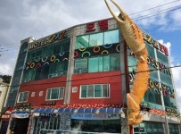 [여행 맛집] 관광객 필수 여행코스...영덕 대게전문점 영덕 강구항 대게촌
