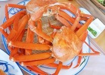 [여행 맛집] 속초 여행시 빠질수 없는 곳 돌섬대게횟집