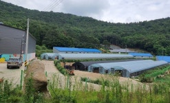 하동군 진교면 성평마을 지렁이 사육장 허가 논란