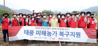 BNK경남은행, 밀양시 태풍 피해 복구 긴급 봉사활동 실시