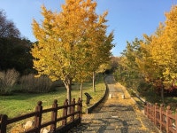 경남 가을 비대면(언택트) 힐링 여행지 18선 소개