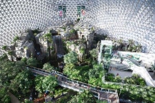 거제식물원 15일 재개원