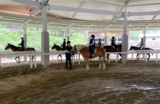함안군승마공원, 한국마사회 기승능력인증제 7등급 시행