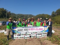 거창군4-H본부, 공동과제포 고구마 수확 행사 가져