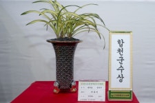 합천군, 제27회 한국춘란엽예품전국대회 열려