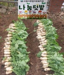 사천시종합사회복지관, 나눔텃밭 가을수확 나눔실천