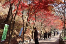 함안군, 찾아가는 아라가야 문해교실 시화전 개최