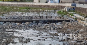 진해 소사천·대장천 생태하천 조성사업 전면 재검토 요구