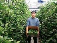 창원시, 2020년도 신지식농업인 선정