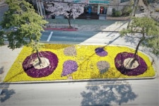 김해시가지 화사한 봄꽃 천지...36만본 심어 시민에 봄 선물