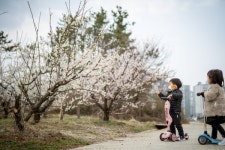 창원시, 우리 동네가 좋다 사진공모전 입상작 발표