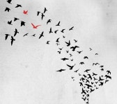 (~04.26) 데미안 [뮤지컬, 대학로 유니플렉스 2관]