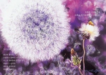 (~06.07) 민들레 홀씨 [연극, 보광극장]