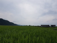 [Opinion] 순천을 보다. [여행]
