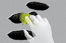 [Review] 레몬 조각 같은 인생 - 레몬청 만드는 법, 핑거라임 [도서]