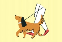 [PRESS] 걷다 보면 괜찮아질 거야