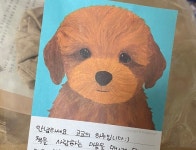 [Review] 책을 읽을 수 있게 하는 또 다른 방법 - 코코의 하루 북파우치