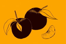 [Review] 맛 큐레이터와 함께하는 맛보기 여행 - 용감한 구르메의 미식 라이브러리