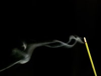 [Opinion] 당신의 쉼은 어떤 향인가요? [문화 전반]