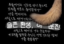 [시와 캘리] 환생을 믿으시나요?