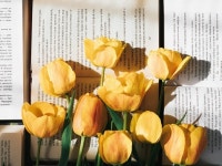 [에세이] 2024년 공연 회고록