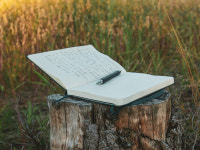 [Opinion] 그래서 일기 대신 시를 씁니다 [문화 전반]