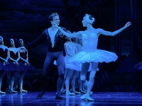 [Opinion] 릴리가 발레를 사랑하는 101가지 이유 - 2025 예술의전당＆유니버설발레단 백조의 호수 [공연]