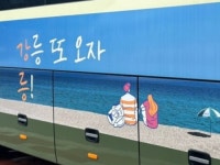 [Opinion] 음악과 함께한 첫 혼자 여행의 기억 - 강릉 [문화 전반]