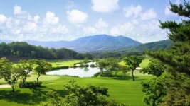 대기업과 명품 골프장- 효성 웰링턴