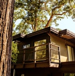 대형 산불의 파급효과