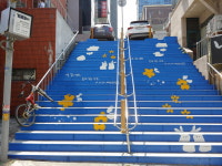 강남구, 여성 안심길 조성