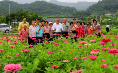 곡성군, 행복한 꽃길 조성사업 참여 마을 모집