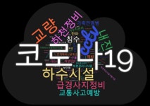 지난해 재난안전교부세, 코로나19보다 CCTV설치에 더 많이 쓰여