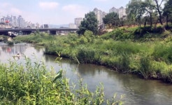 자전거 타고 한강에서 연천 한탄강까지 달린다